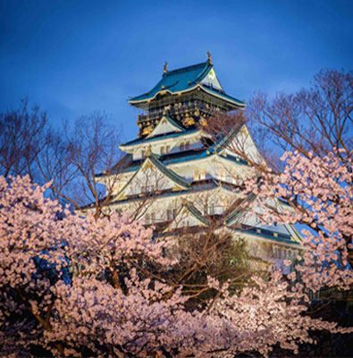 赴日旅游